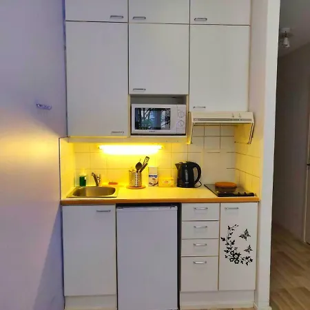 아파트 Stylish 30m2 Studio In City Center 헬싱키